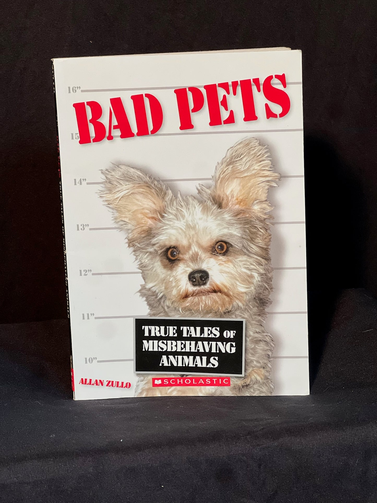 Bad Pets True Tales of Misbehaving Animals By Allan Zullo