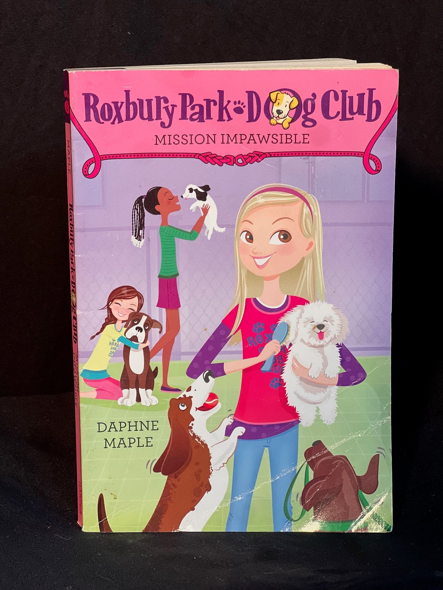 Roxbury Park Dog Club Mission Impawsible By Daphne Maple