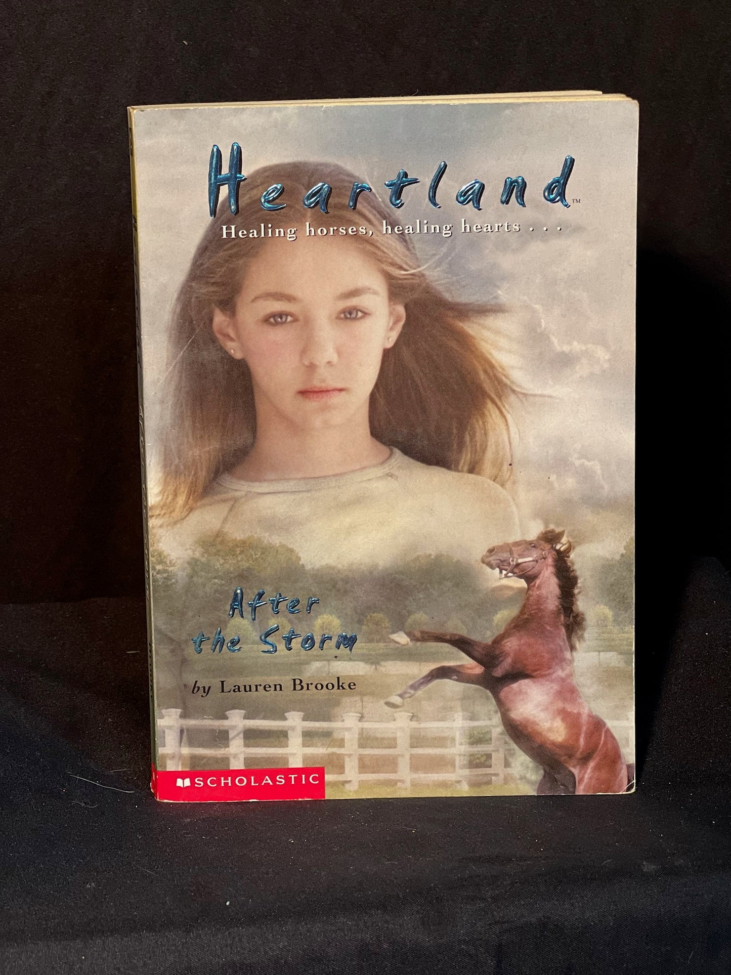 Heartland Healing Horses, Healing Hearts... After the Storm By Lauren Brooke