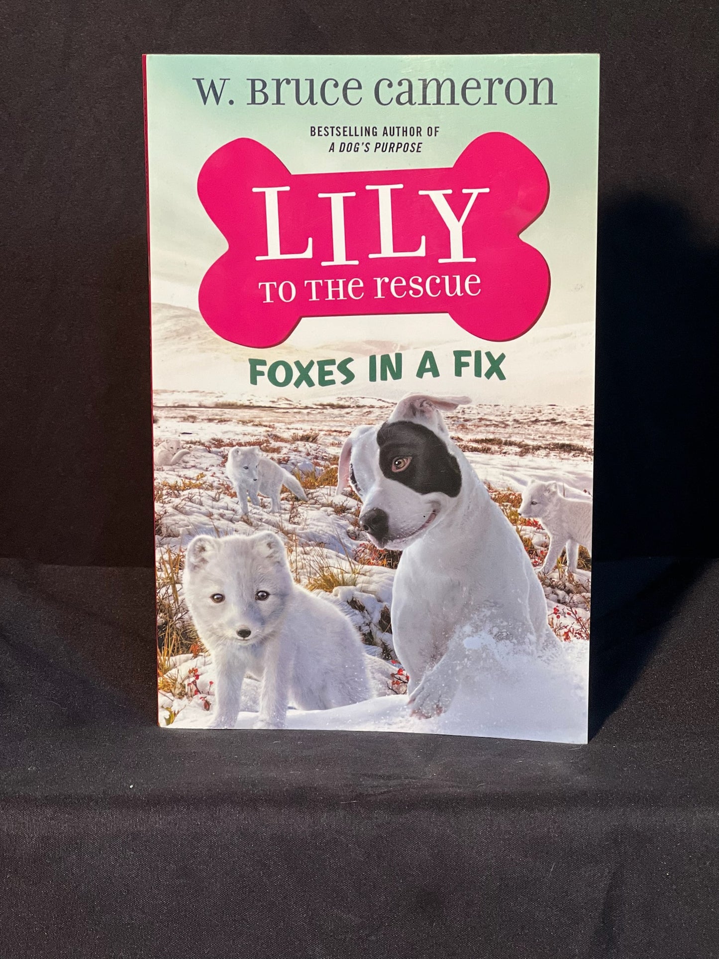Lily to the Rescue Foxes in a Fix By W. Bruce Cameron