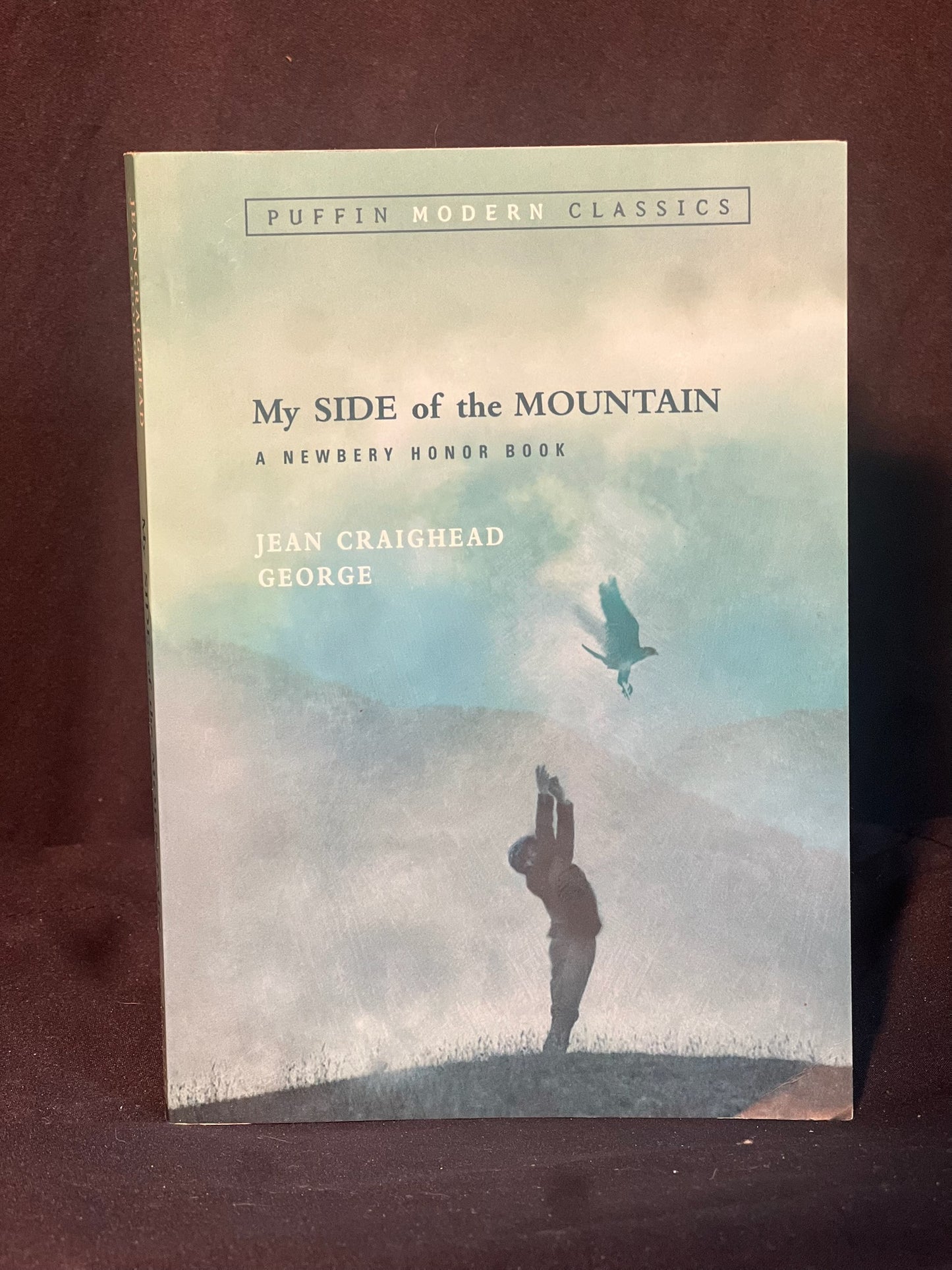 My Side of the Mountain by Jean Craighead George