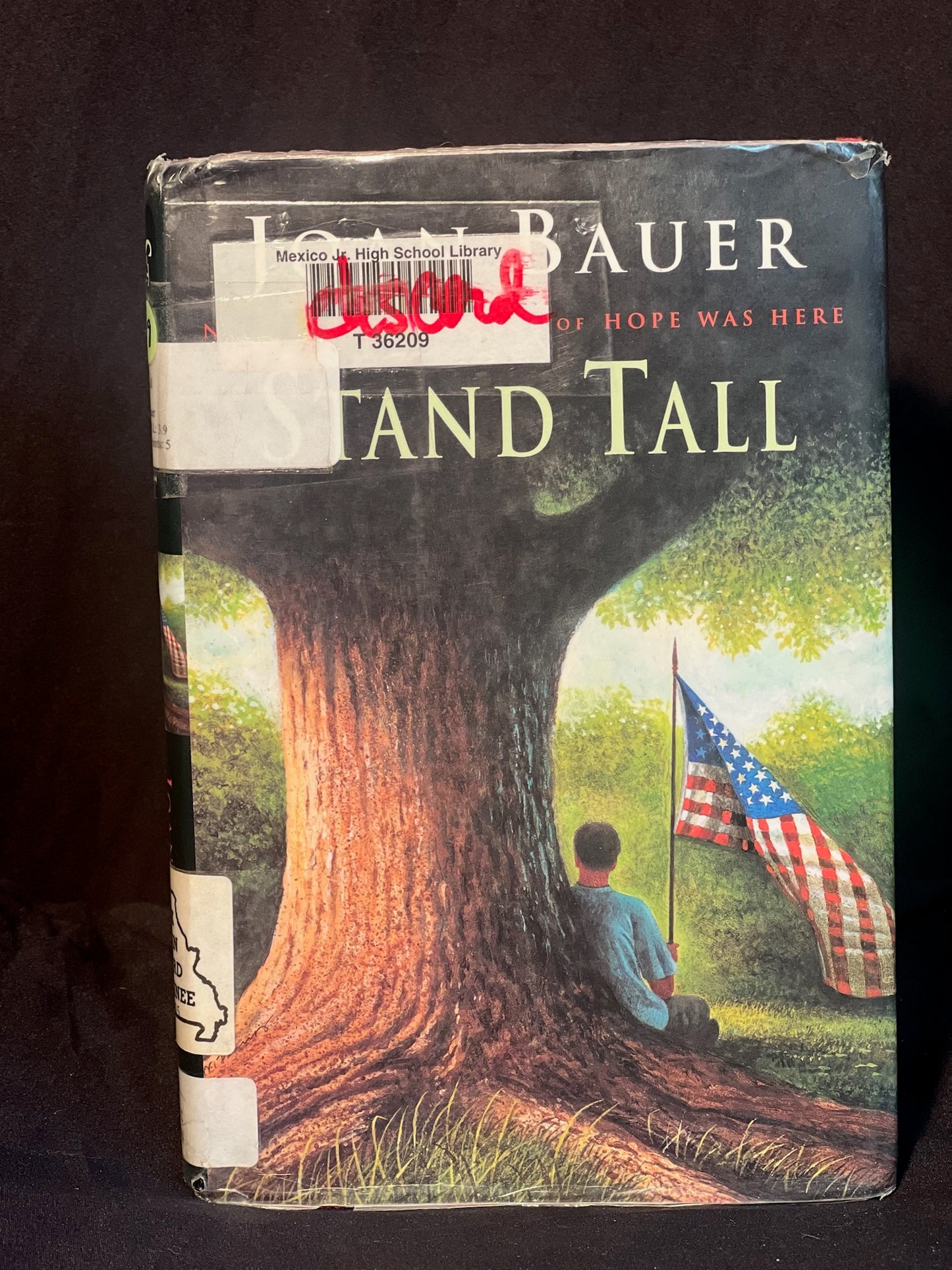 Stand Tall by Joan Bauer