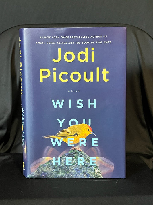 Wish You Were Here by Jodi Picoult
