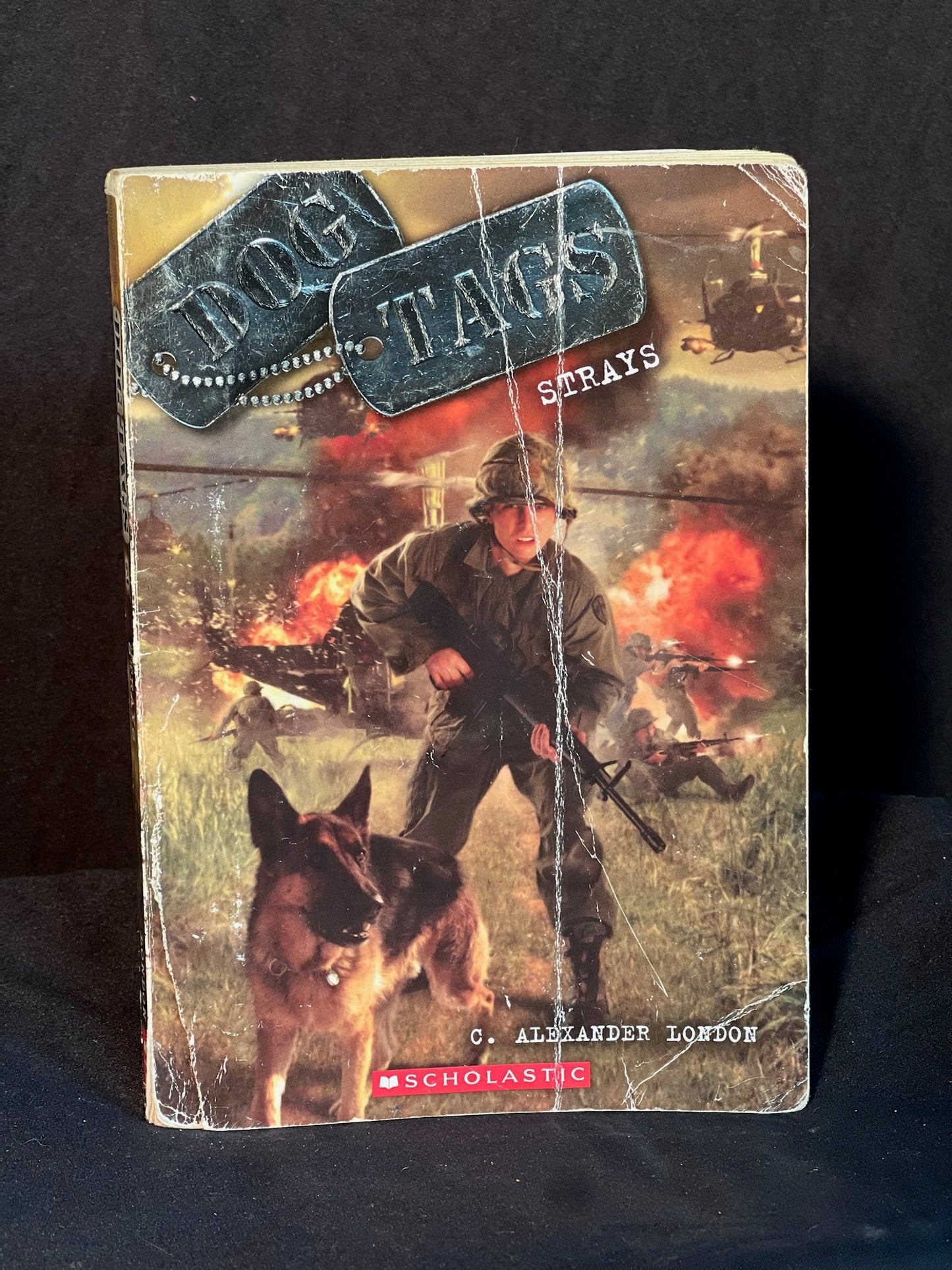 Dog Tags Strays By C. Alexander London