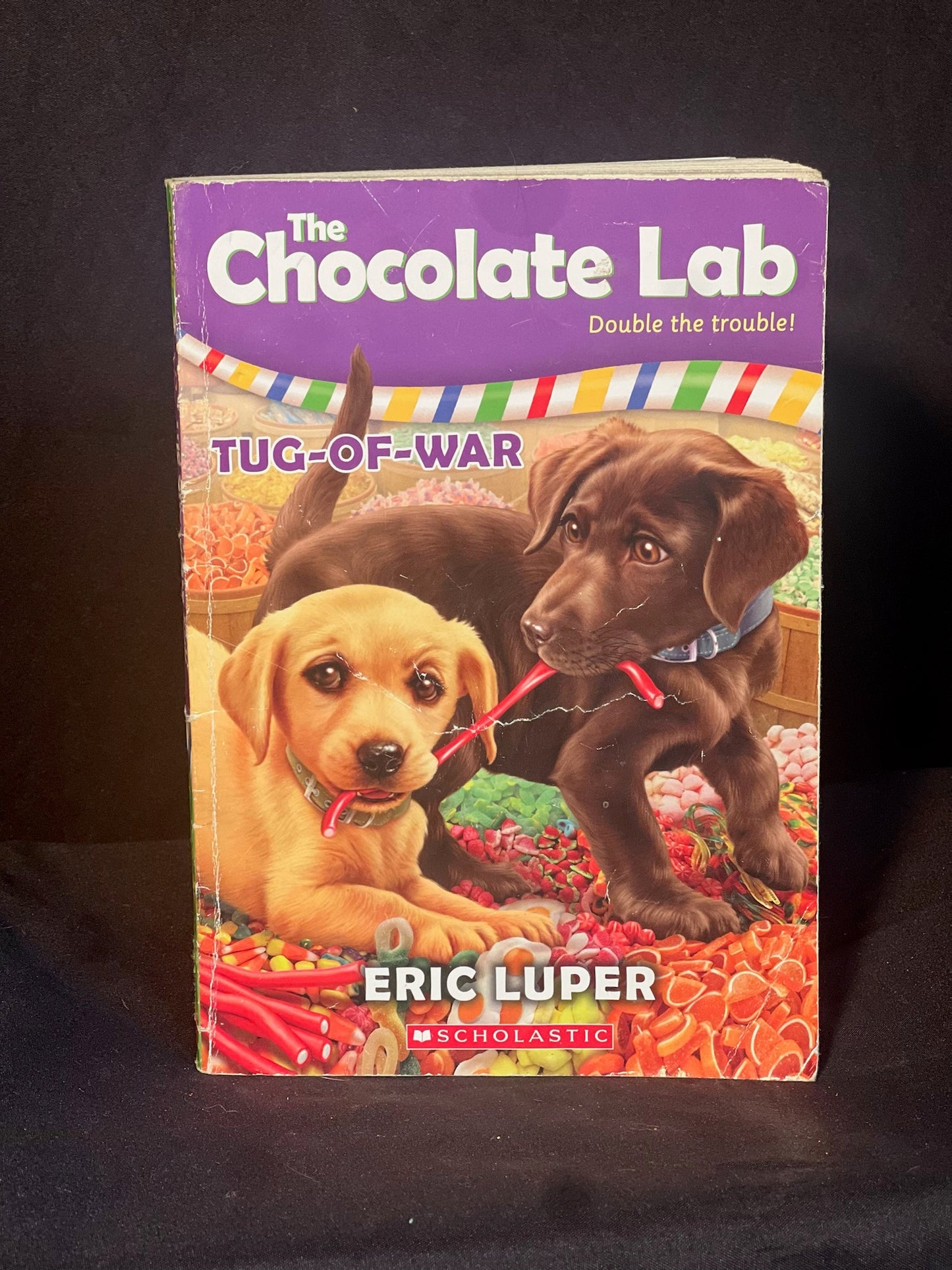 The Chocolate Lab  Double the Trouble Tug-of-War  By Erik Luper