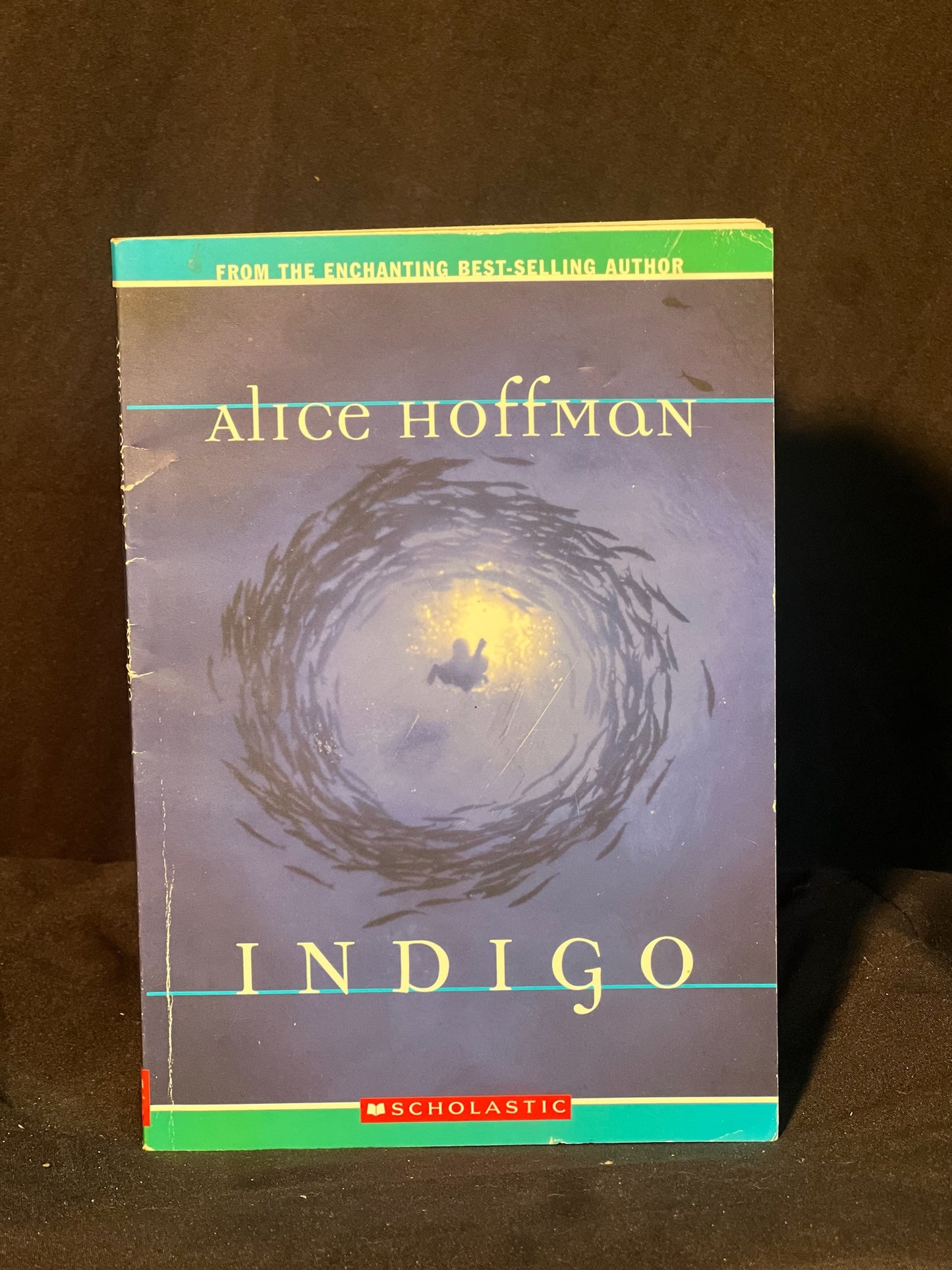Indigo by Alice Hoffman